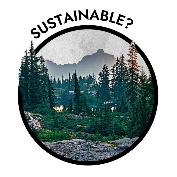 What Makes Food Sustainable Or Unsustainable?