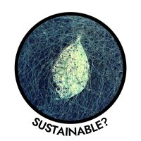 side effects of seafood, unsustainable food that pollutes oceans with plastic