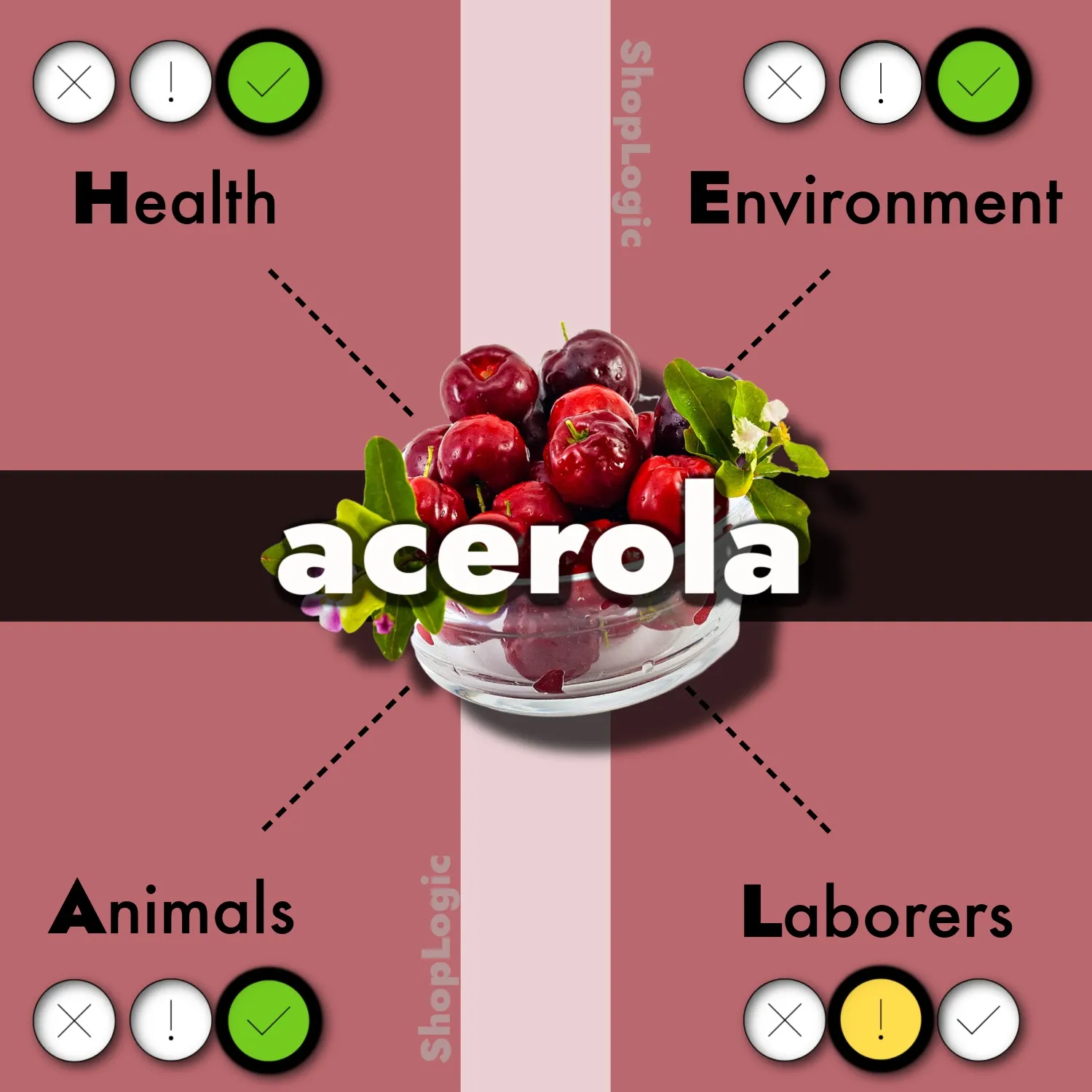 Top Acerola Benefits + Side Effects