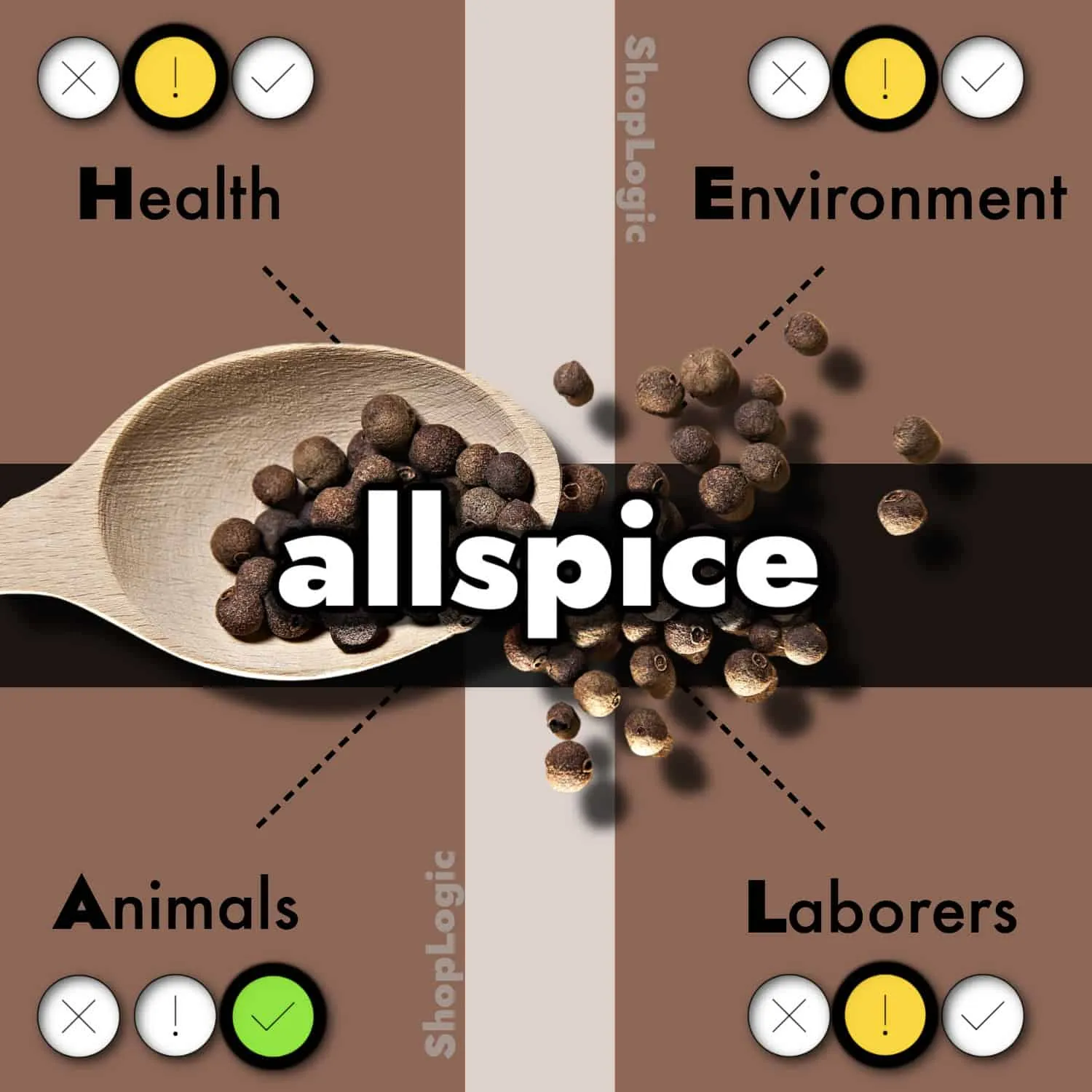 Allspice Benefits and Side Effects