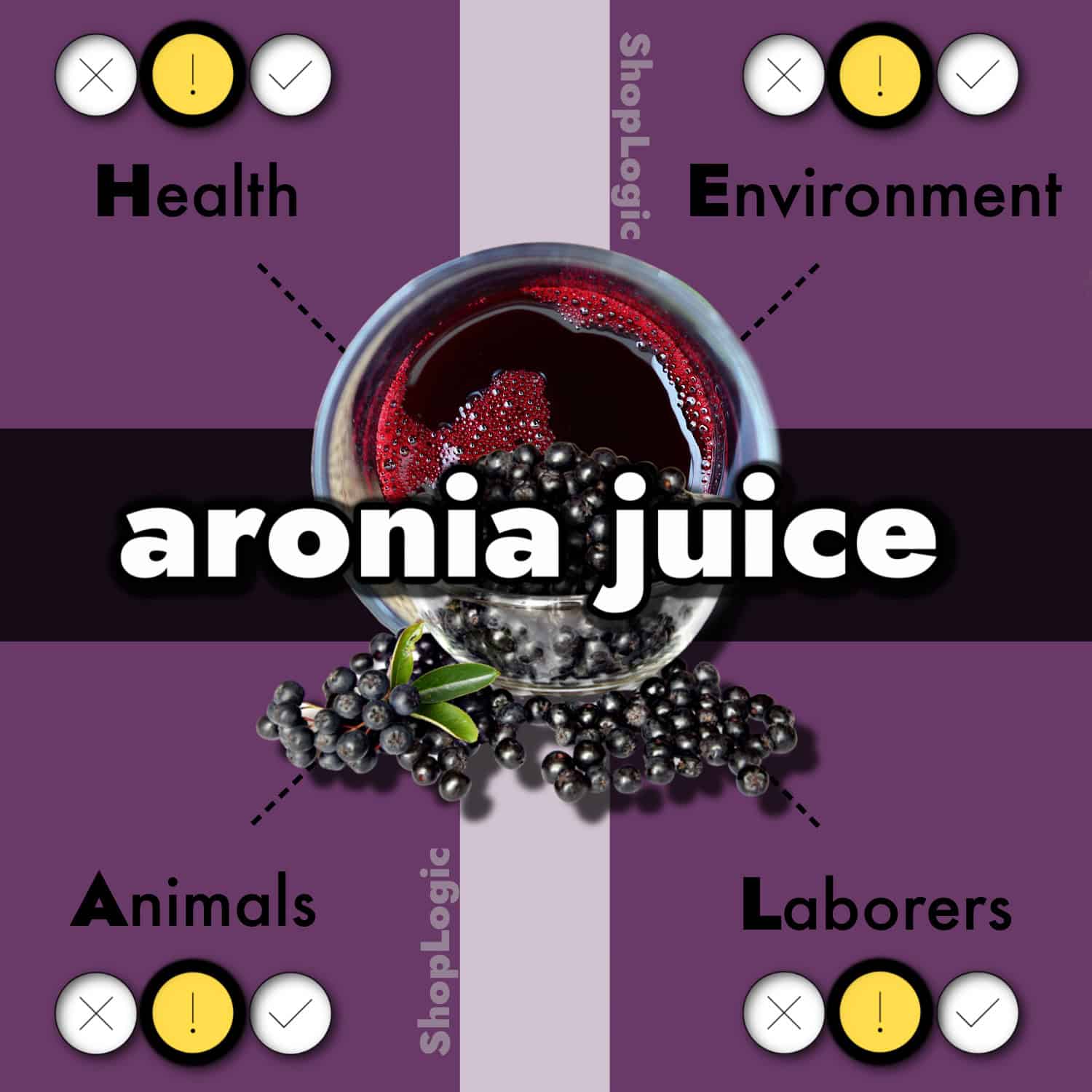 Aronia Juice Benefits And Side Effects