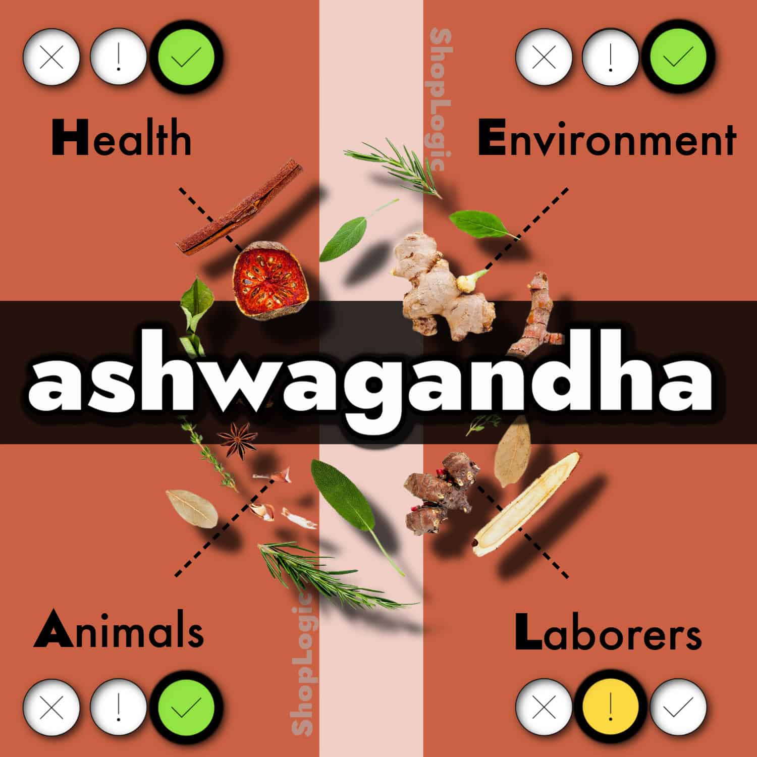 Ashwagandha Benefits + Side Effects