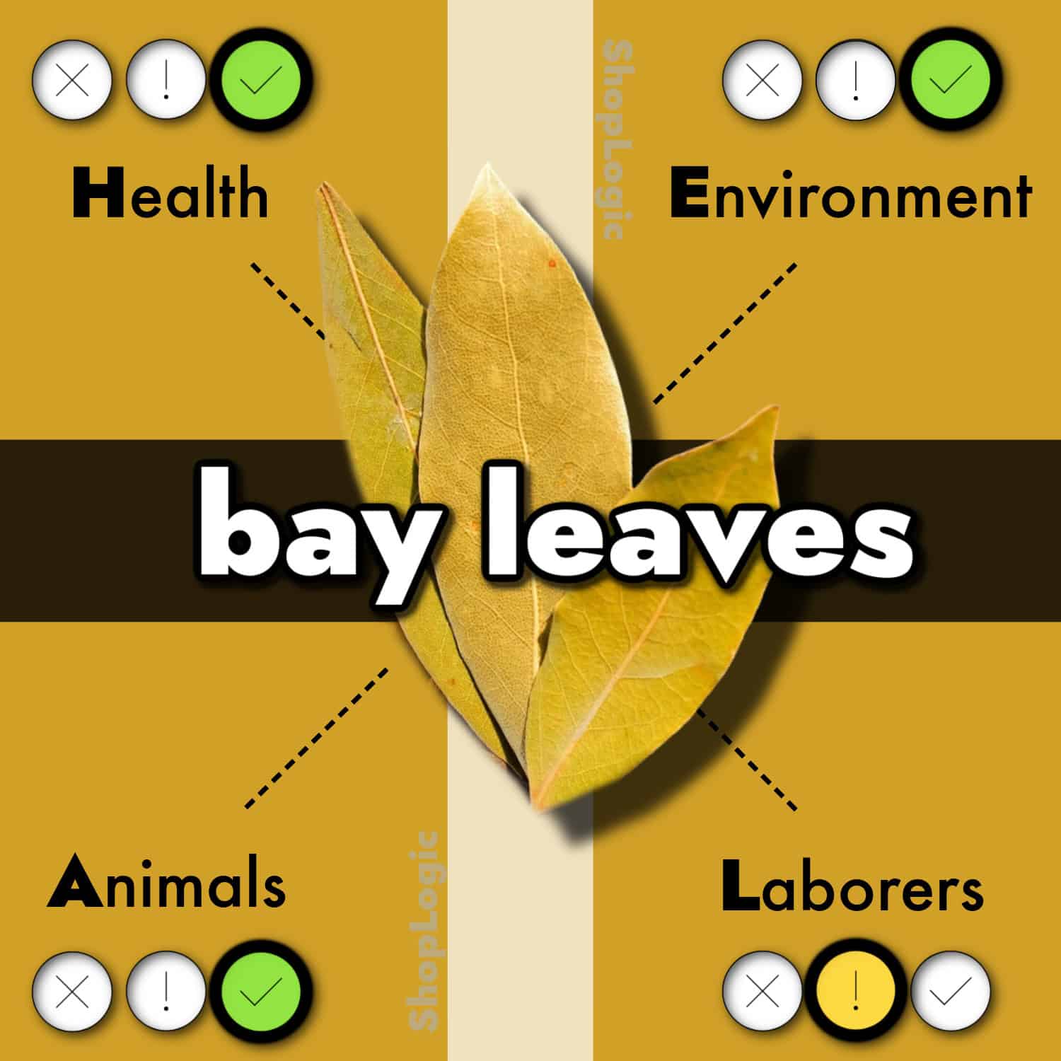 Top Bay Leaf Benefits + Side Effects