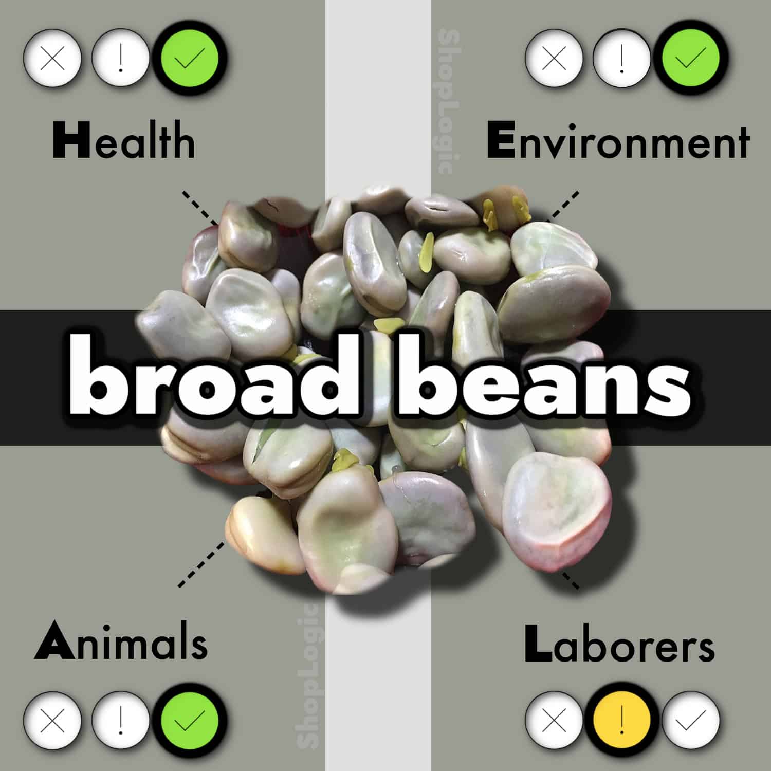 Broad Beans Benefits and Side Effects