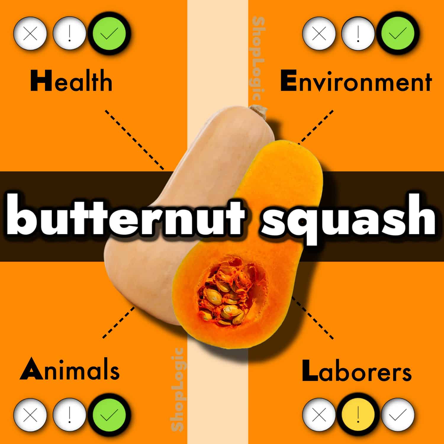 Butternut Squash Benefits and Side Effects