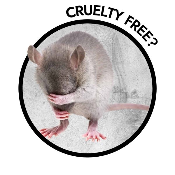 cruelty free brands that do not test on animals
