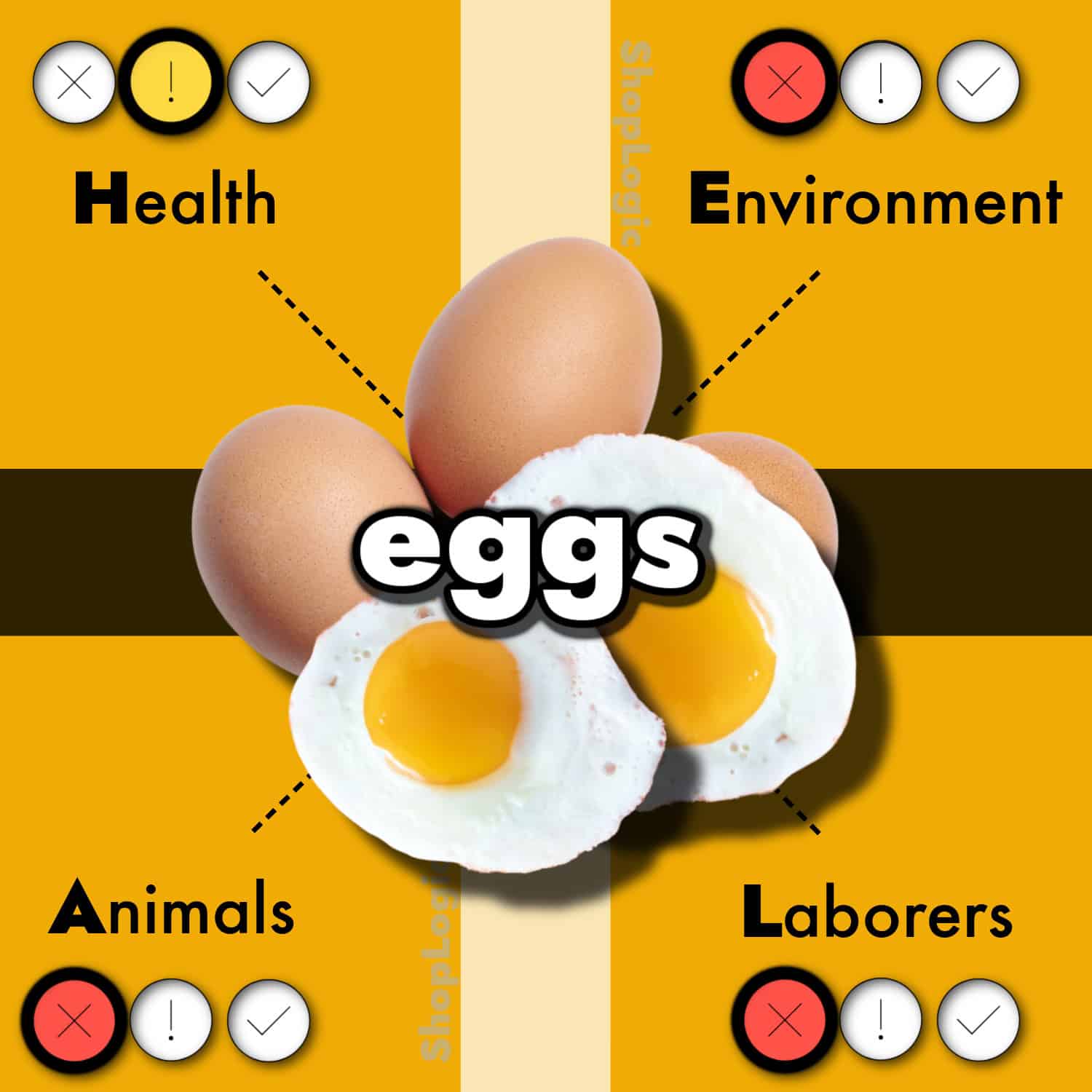 Egg Side Effects and Benefits