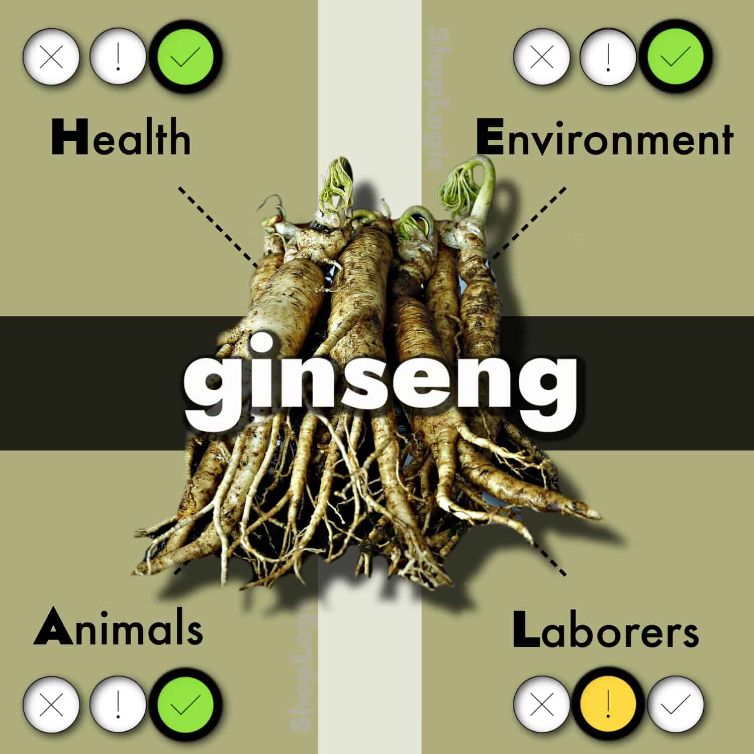 Ginseng Benefits + Side Effects