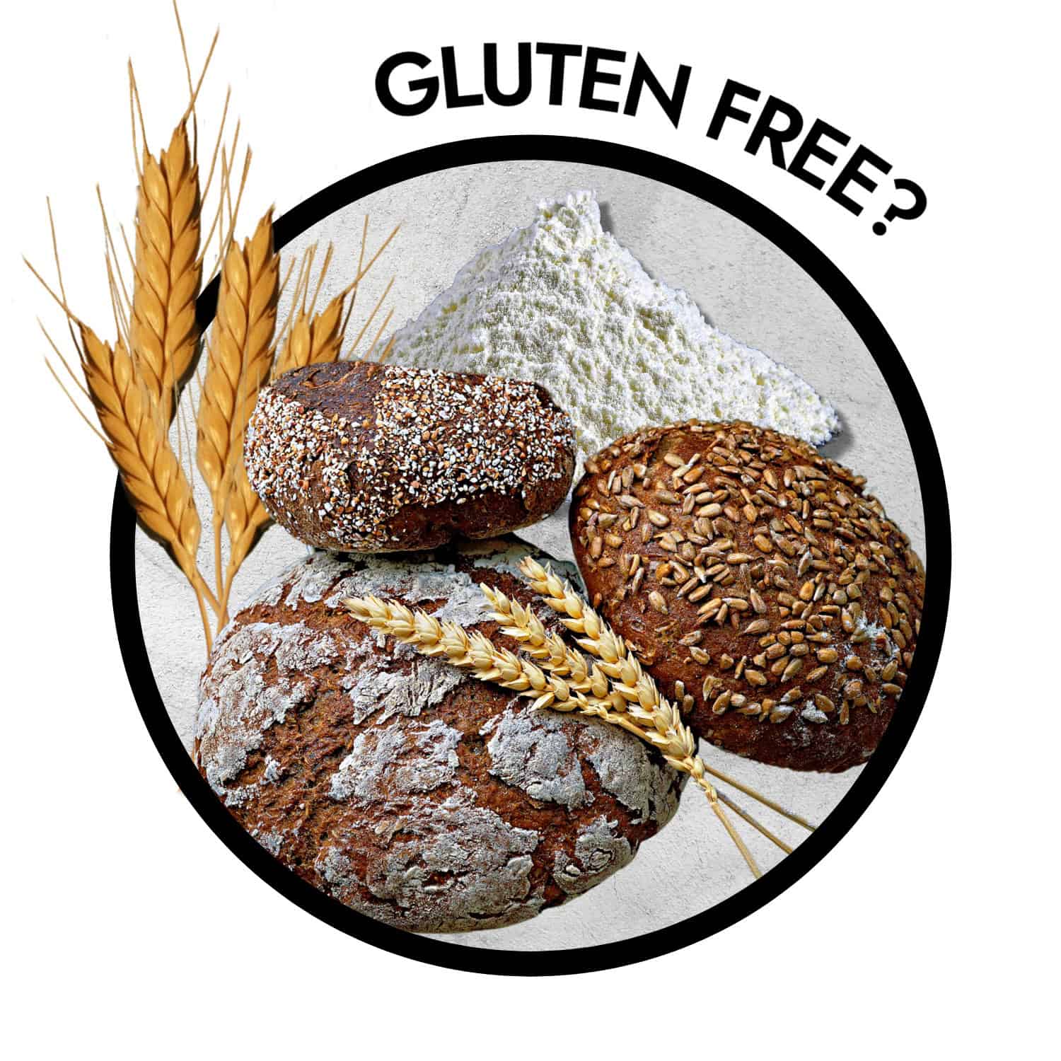 gluten free foods and what to eat on a gluten free diet