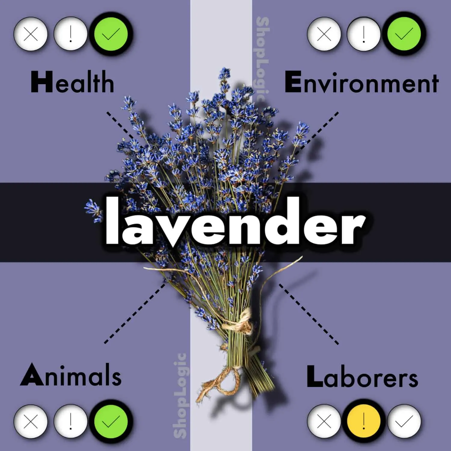 Lavender Benefits + Side Effects