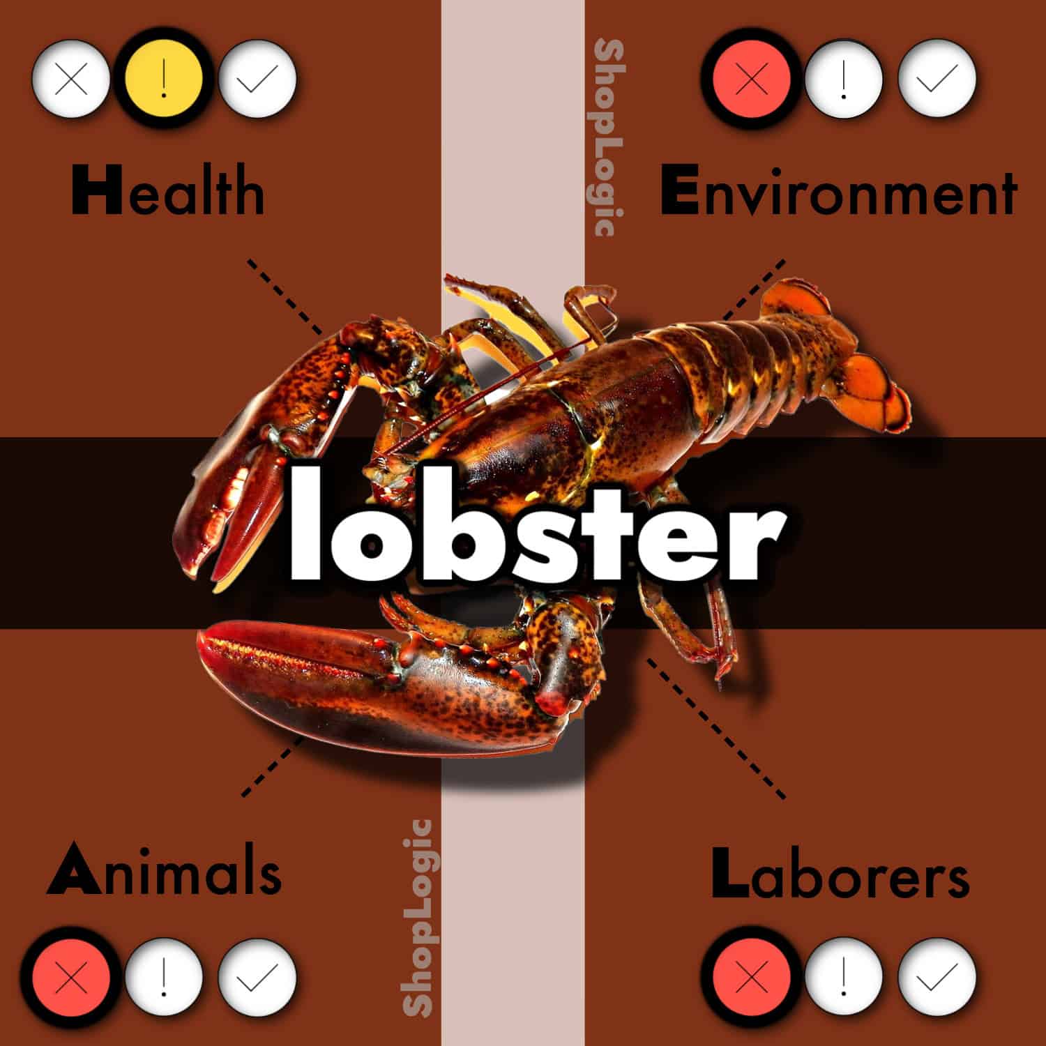 Lobster Side Effects + Benefits