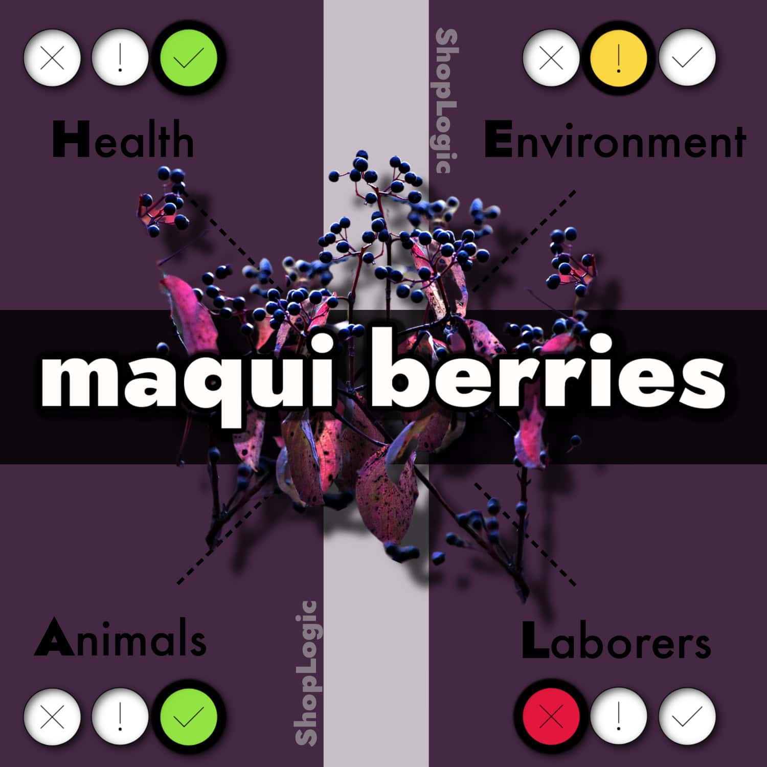 Top Maqui Berry Benefits + Side Effects