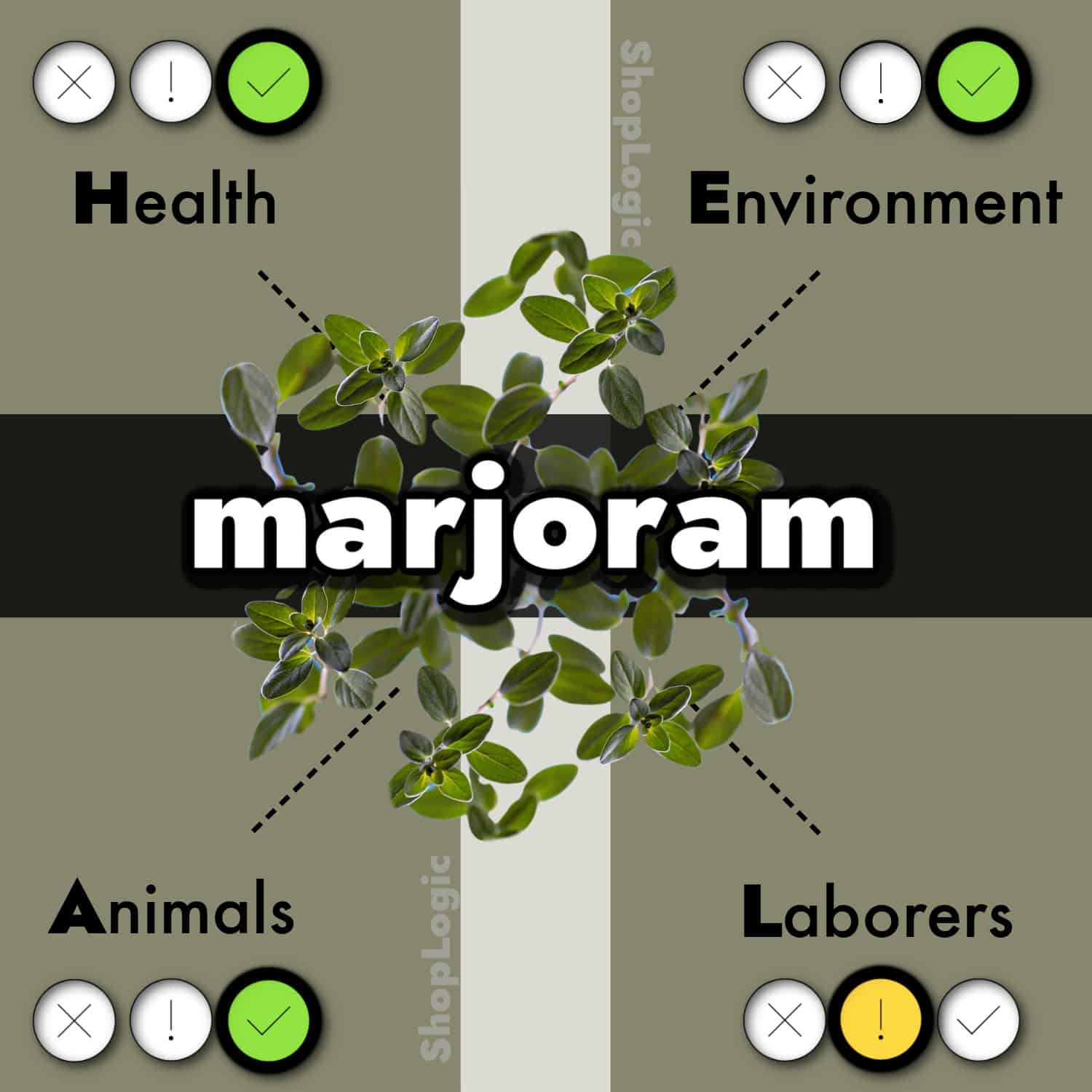 Marjoram Benefits and Side Effects
