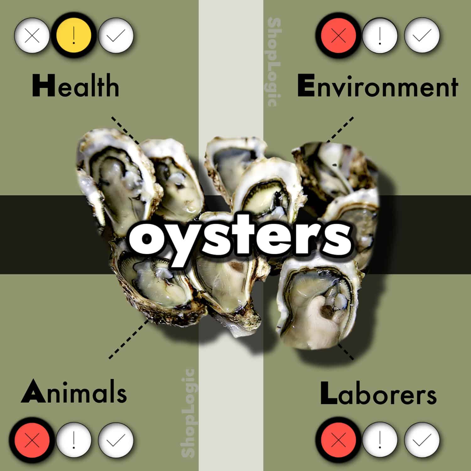 Oyster Side Effects + Benefits
