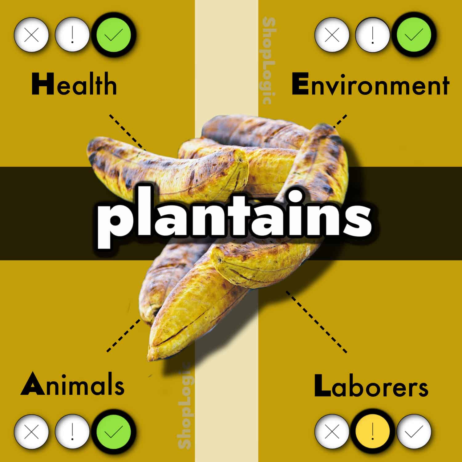 Plantain Benefits and Side Effects