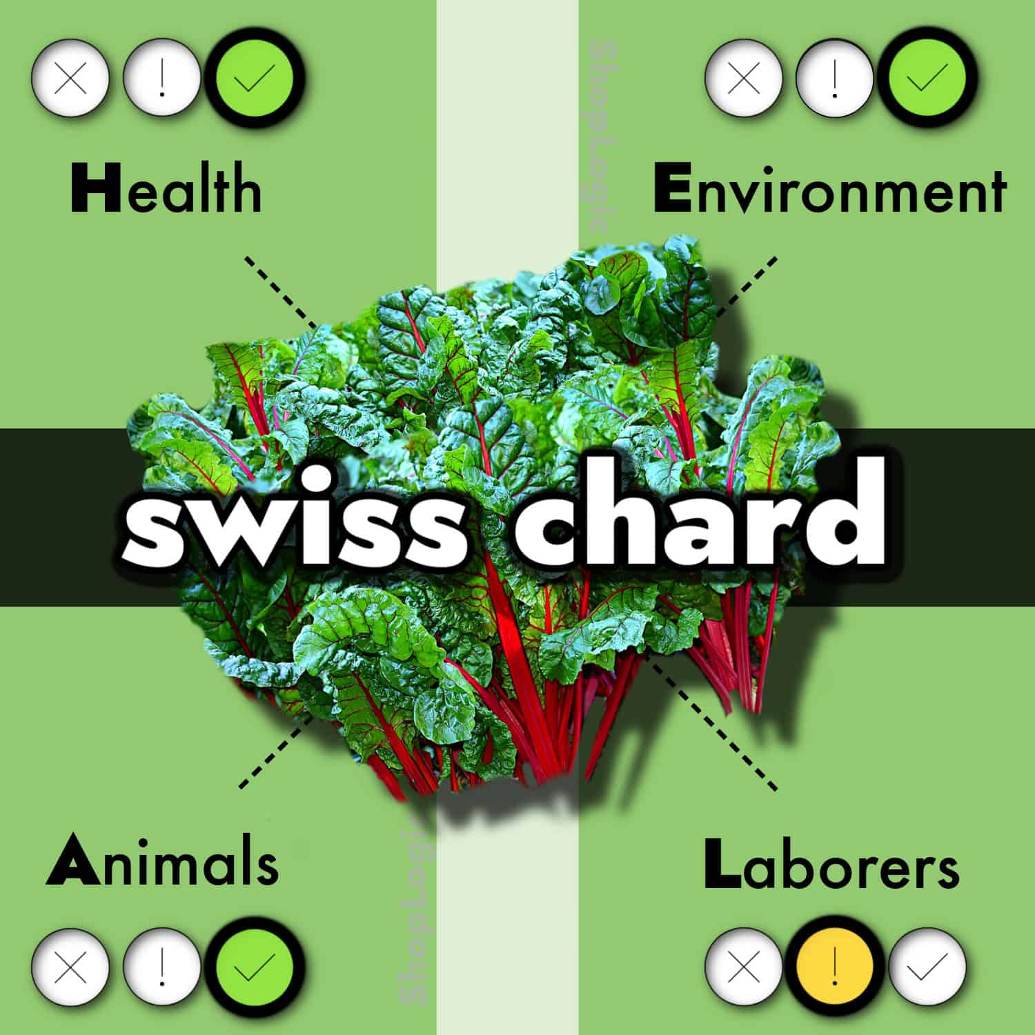 Swiss Chard Benefits and Side Effects