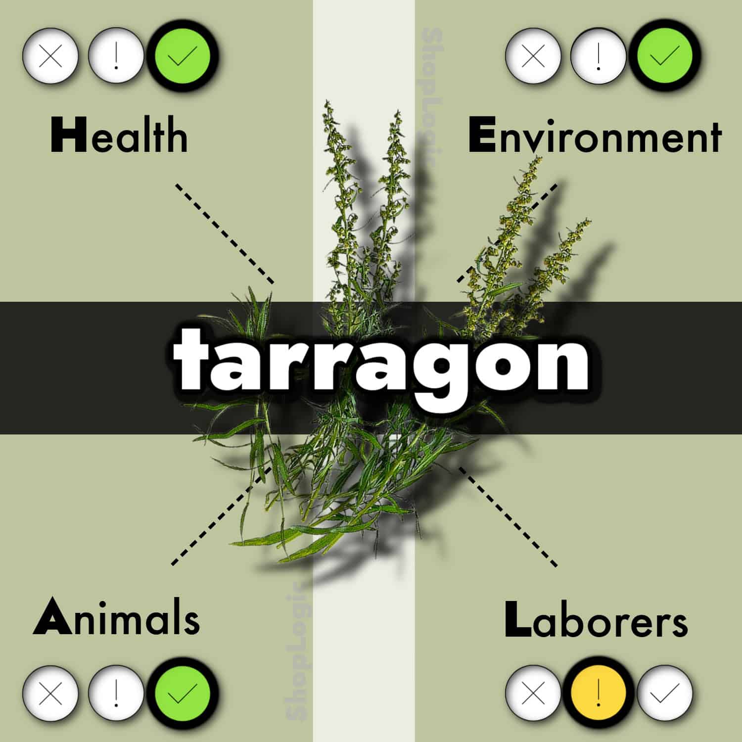 Tarragon Benefits and Side Effects