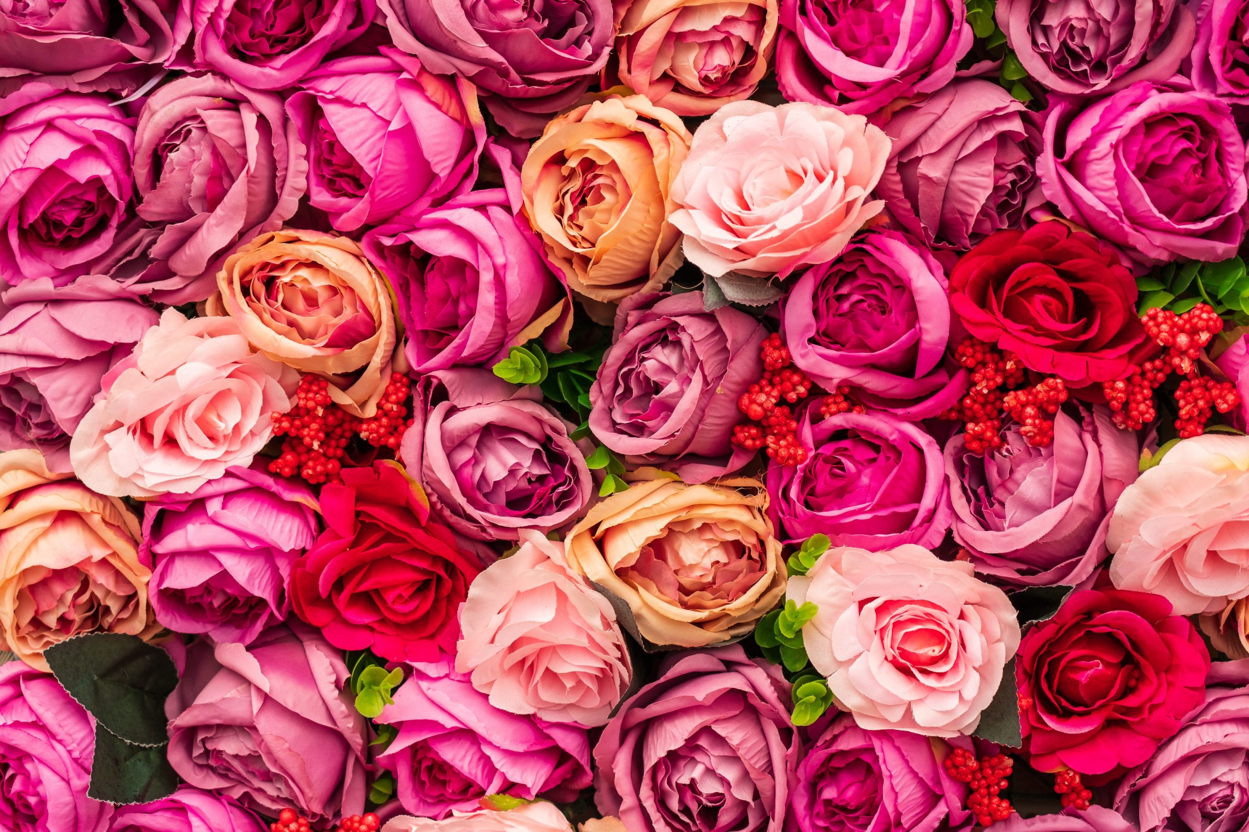 9 Vegan Valentine’s Day Gift Ideas
