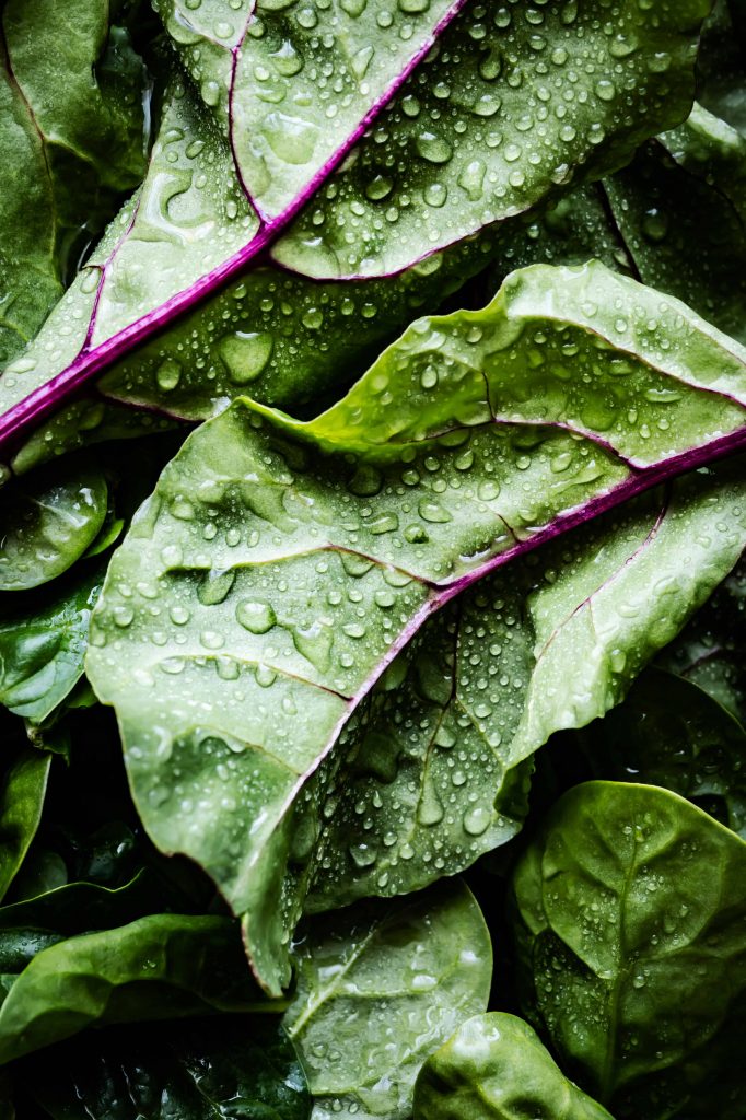 Sneaky Greens: How To Eat More Leafy Greens When You’re Sick Of Salad