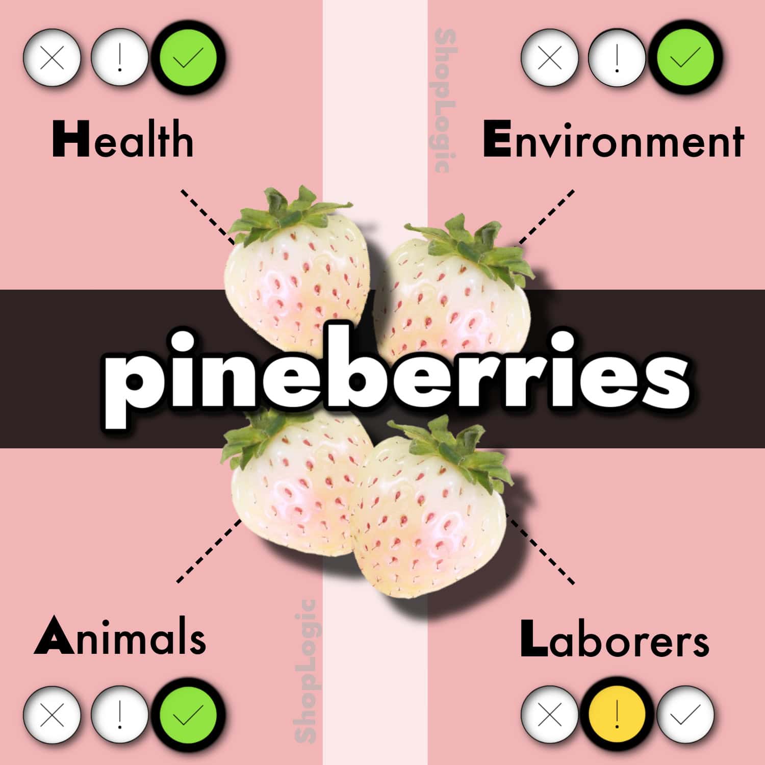 Top Pineberry Benefits + Side Effects