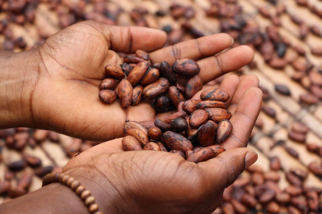 Cocoa is just one of many foods to always buy fair trade.