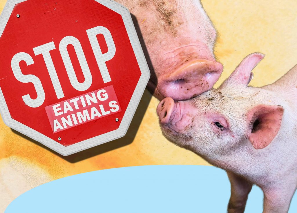 quick vegan comebacks why you don't eat meat