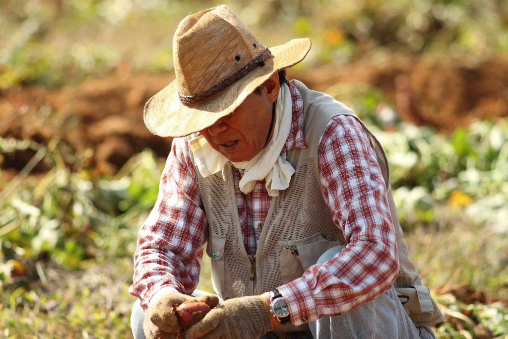 Food You Should Buy Fair Trade