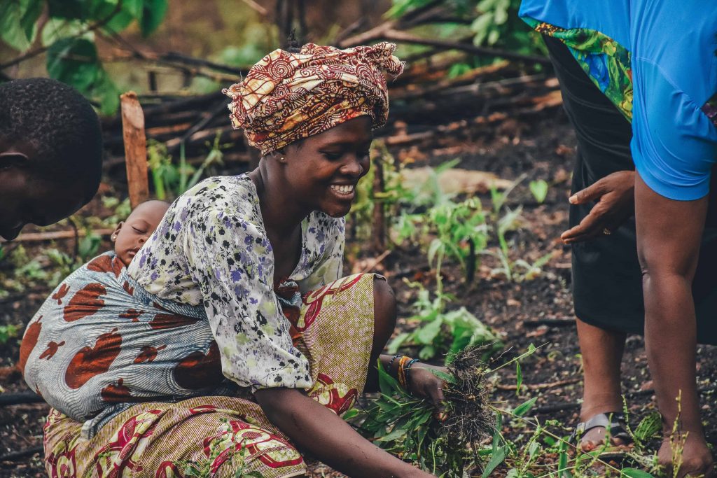human rights and farm workers