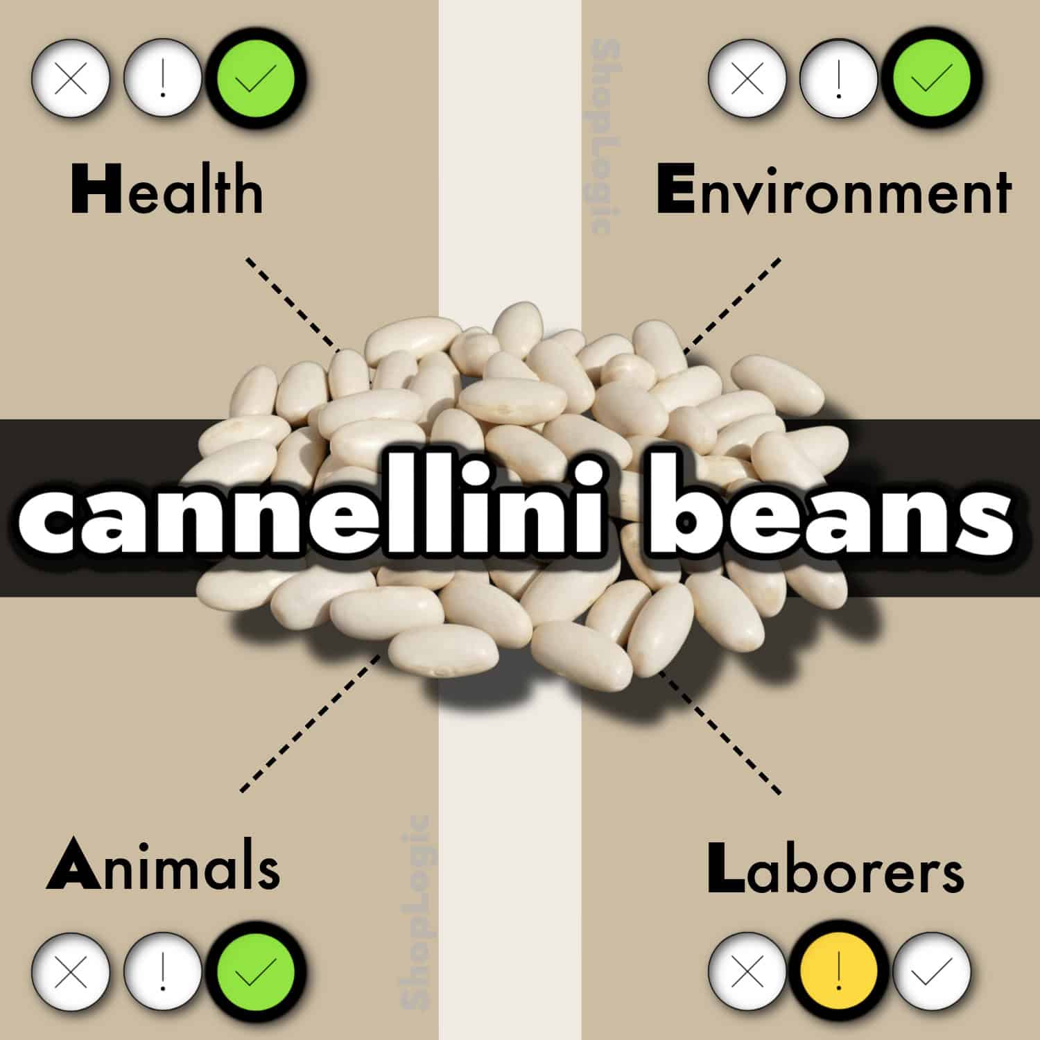 Cannellini Bean Benefits + Side Effects