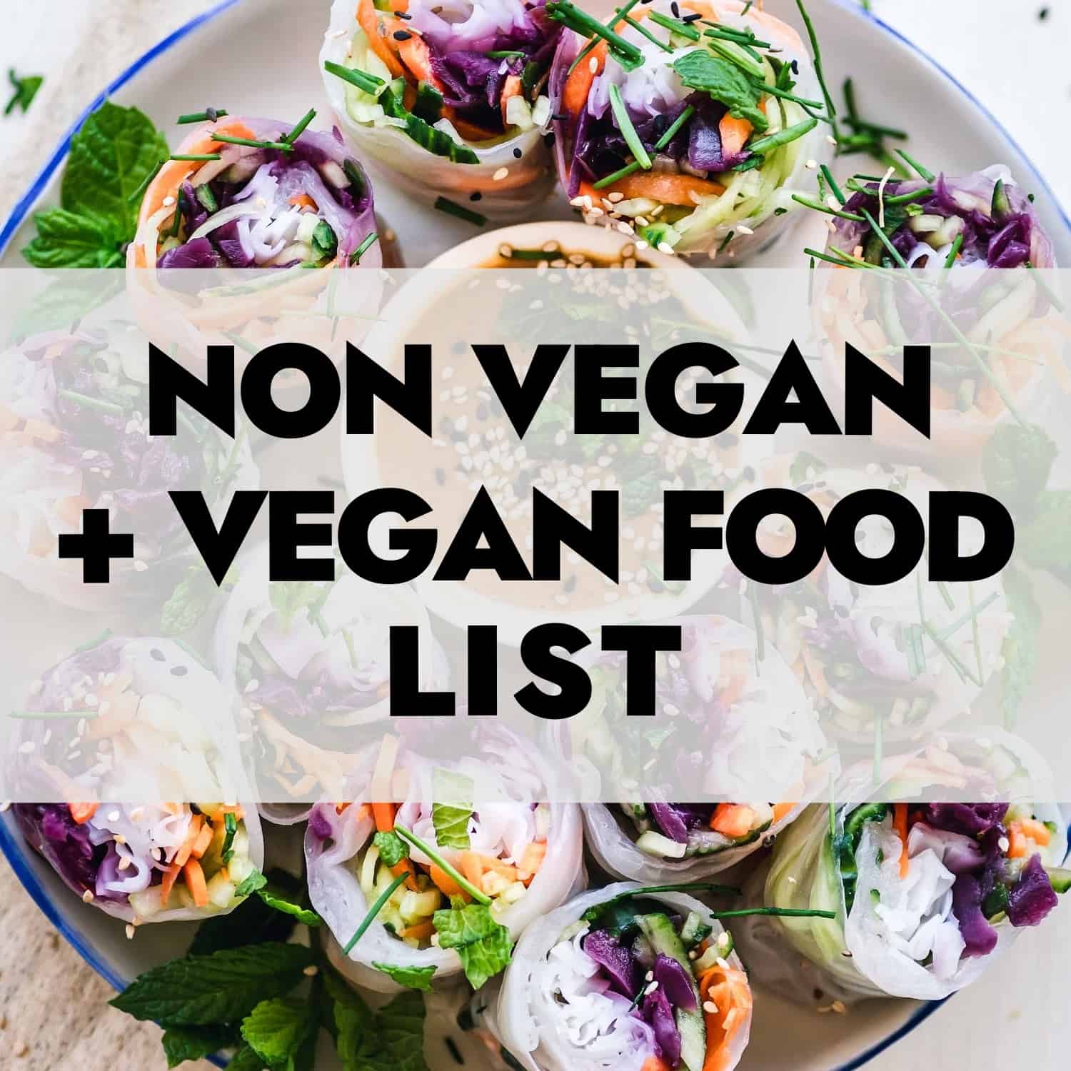Vegan And Non Vegan Food List