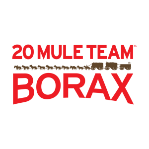 Is 20 Mule Team Vegan + Cruelty Free?