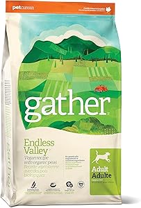 Is Gather Vegan + Cruelty Free?